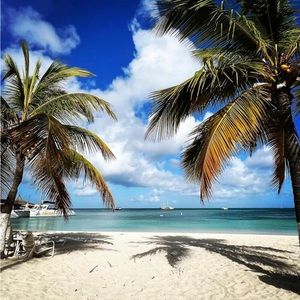 Meet your Posher, Pamela